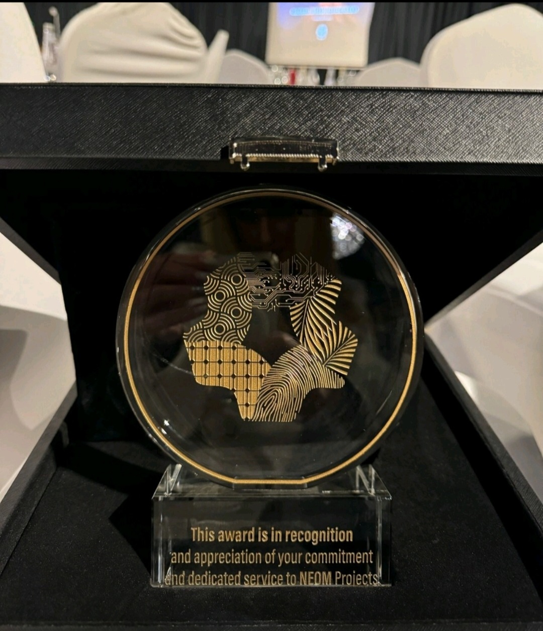 Award photo 2
